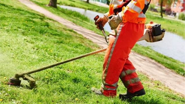 Mian Zahid Gardening & Garden Maintenance Work